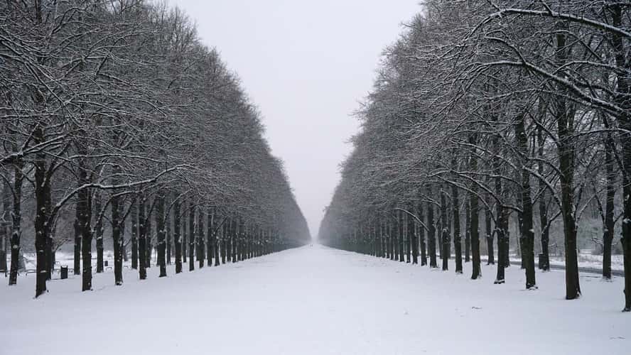 Herrenhäuser Allee, Hanover