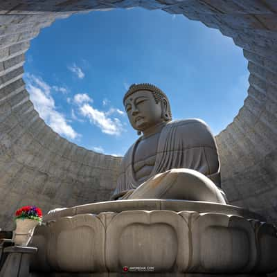 Hill of the Buddha, Japan