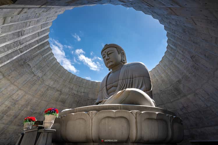 Hill of the Buddha