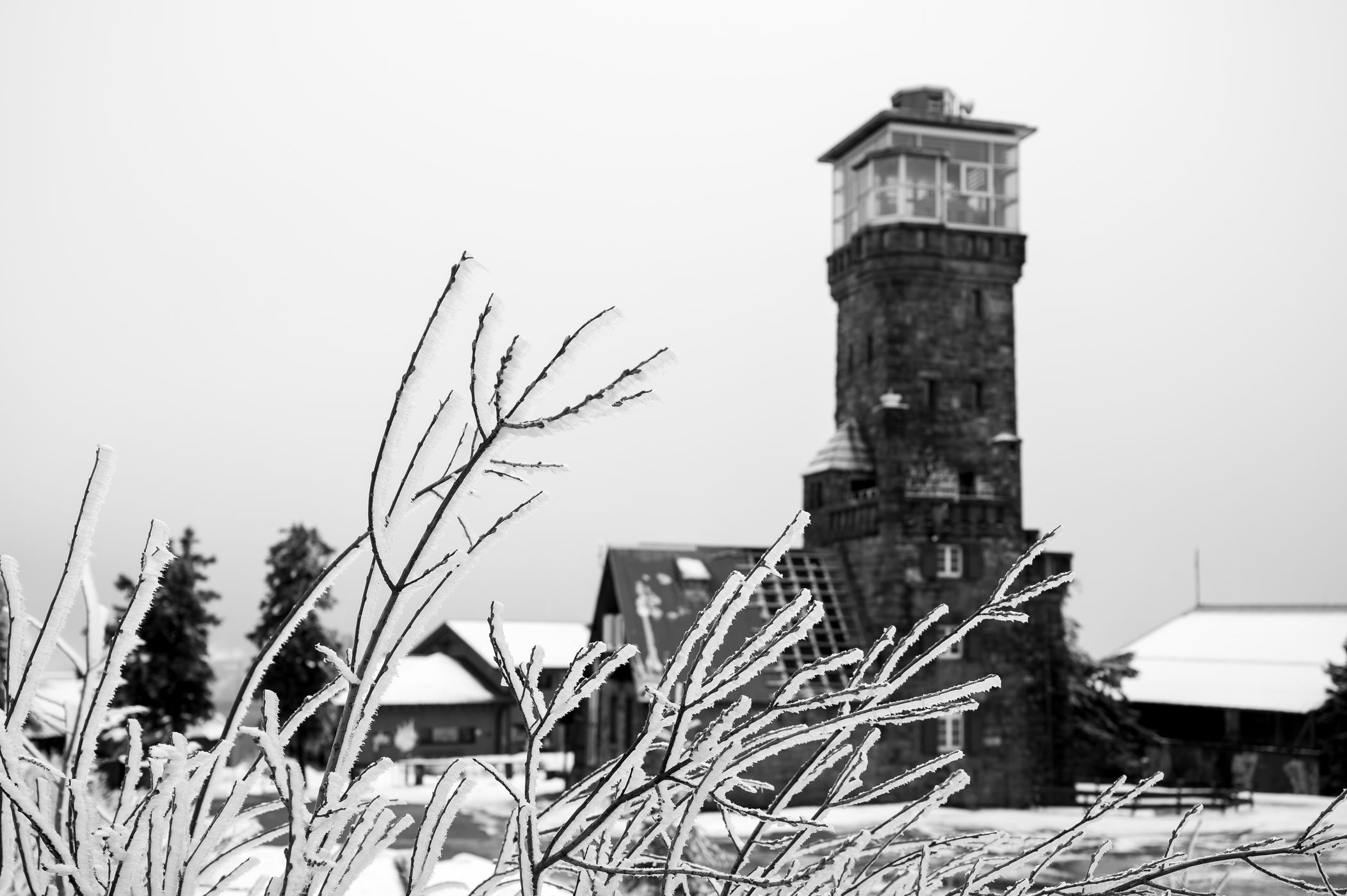 Hornisgrindeturm, Germany