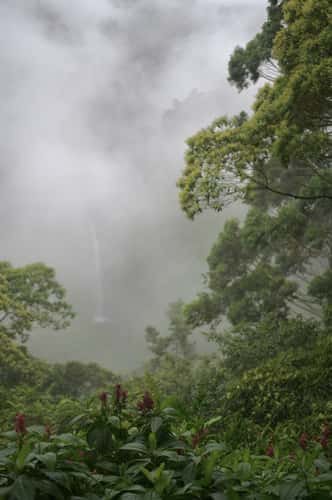 Hummingbird Cafe, bird watching + waterfall!