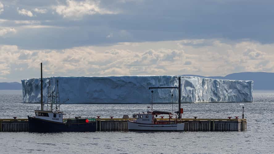 Iceberg at Seal Cove