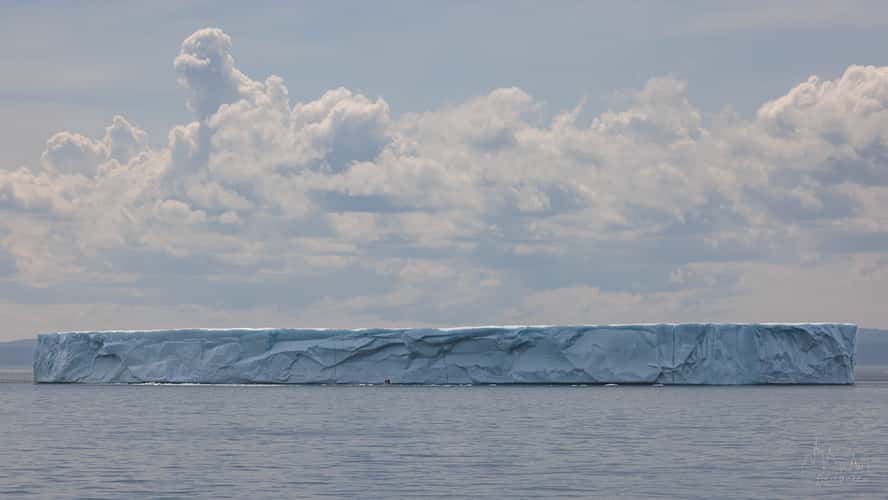 Iceberg at Seal Cove