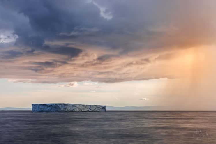 Iceberg at Seal Cove