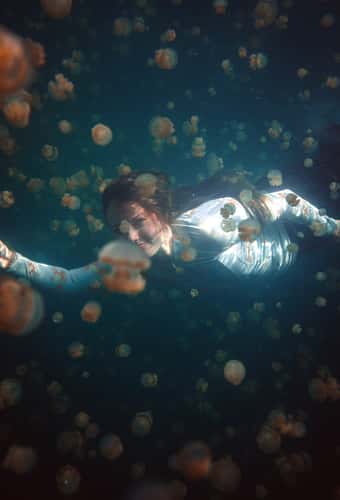 Jelly Fish lake