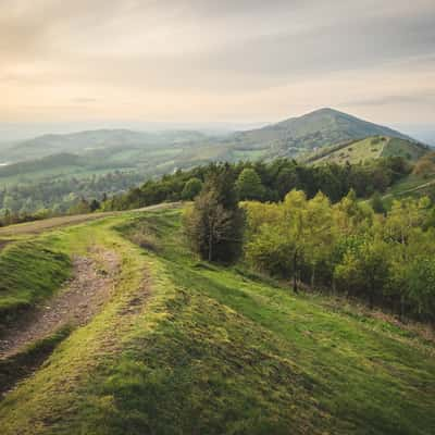 Jubilee hill, United Kingdom