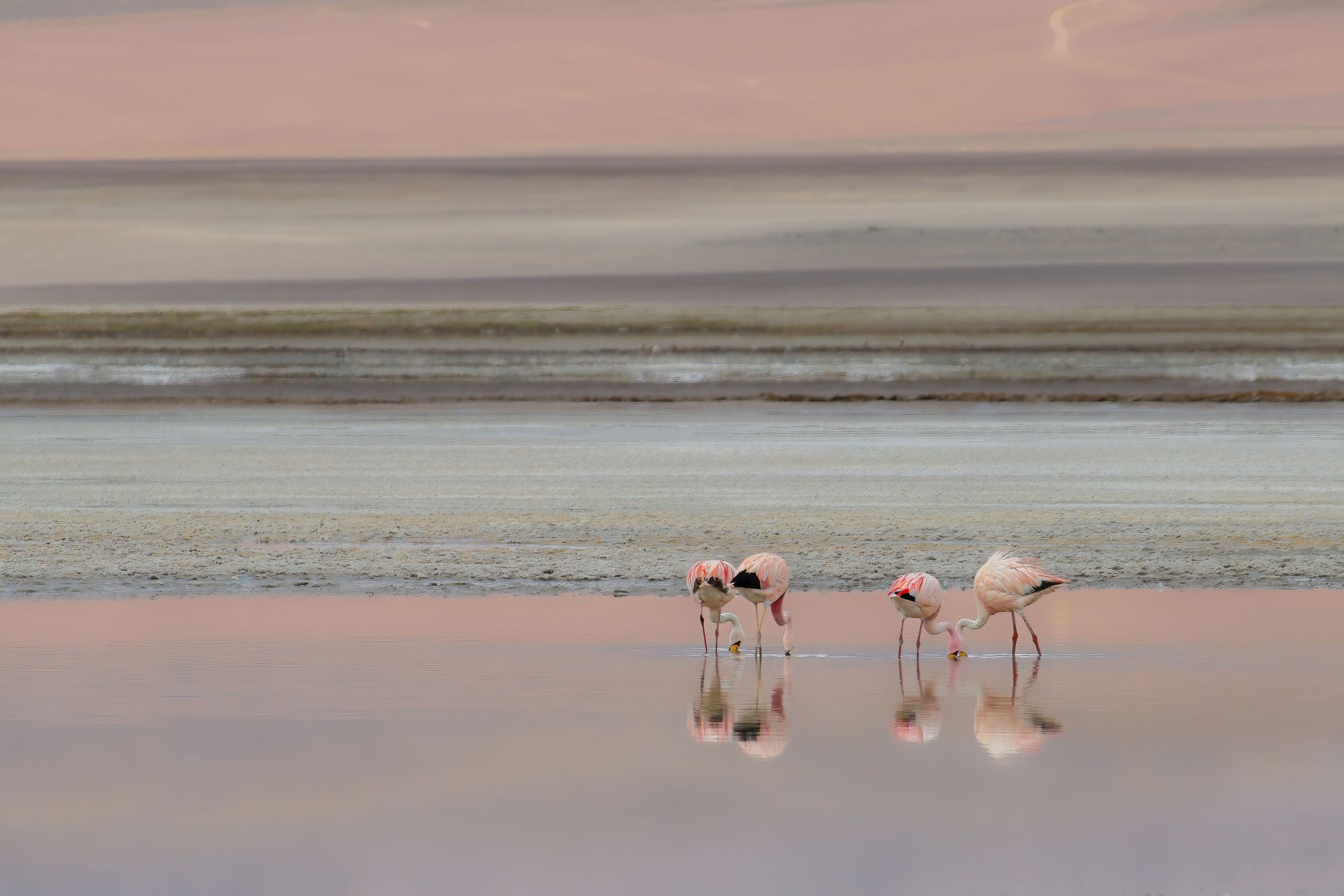 Lake Canapa, Bolivia
