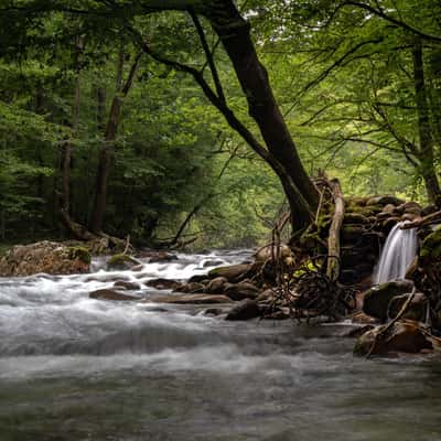 Little Pigeon River, Gatlinburg, USA
