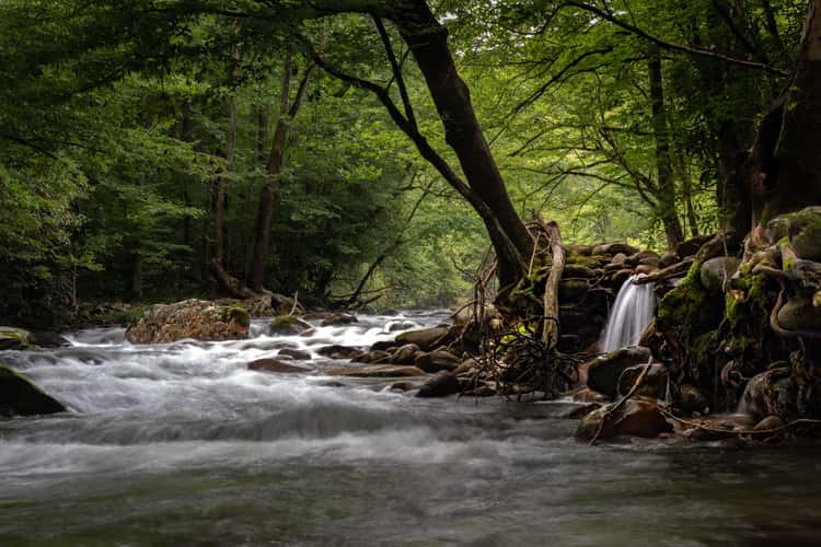 Little Pigeon River, Gatlinburg