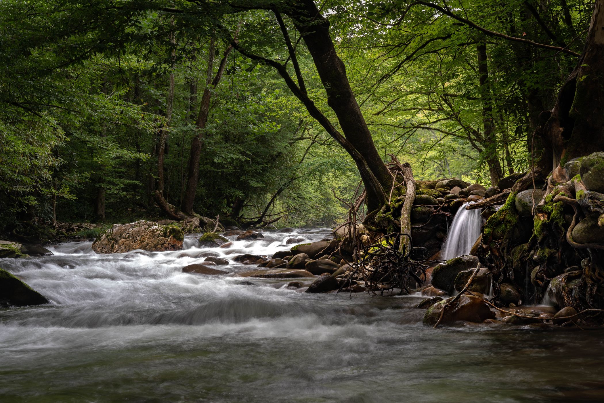 Little Pigeon River, Gatlinburg, USA