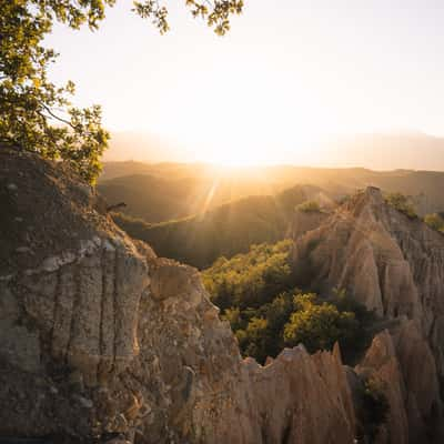 Lonely Tree at Rozhen Sandstone Pyramids, Melnik, Bulgaria