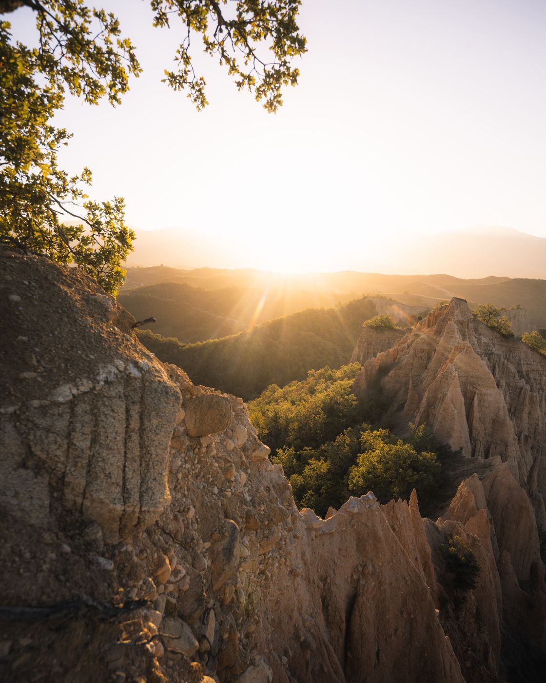 Lonely Tree at Rozhen Sandstone Pyramids, Melnik, Bulgaria