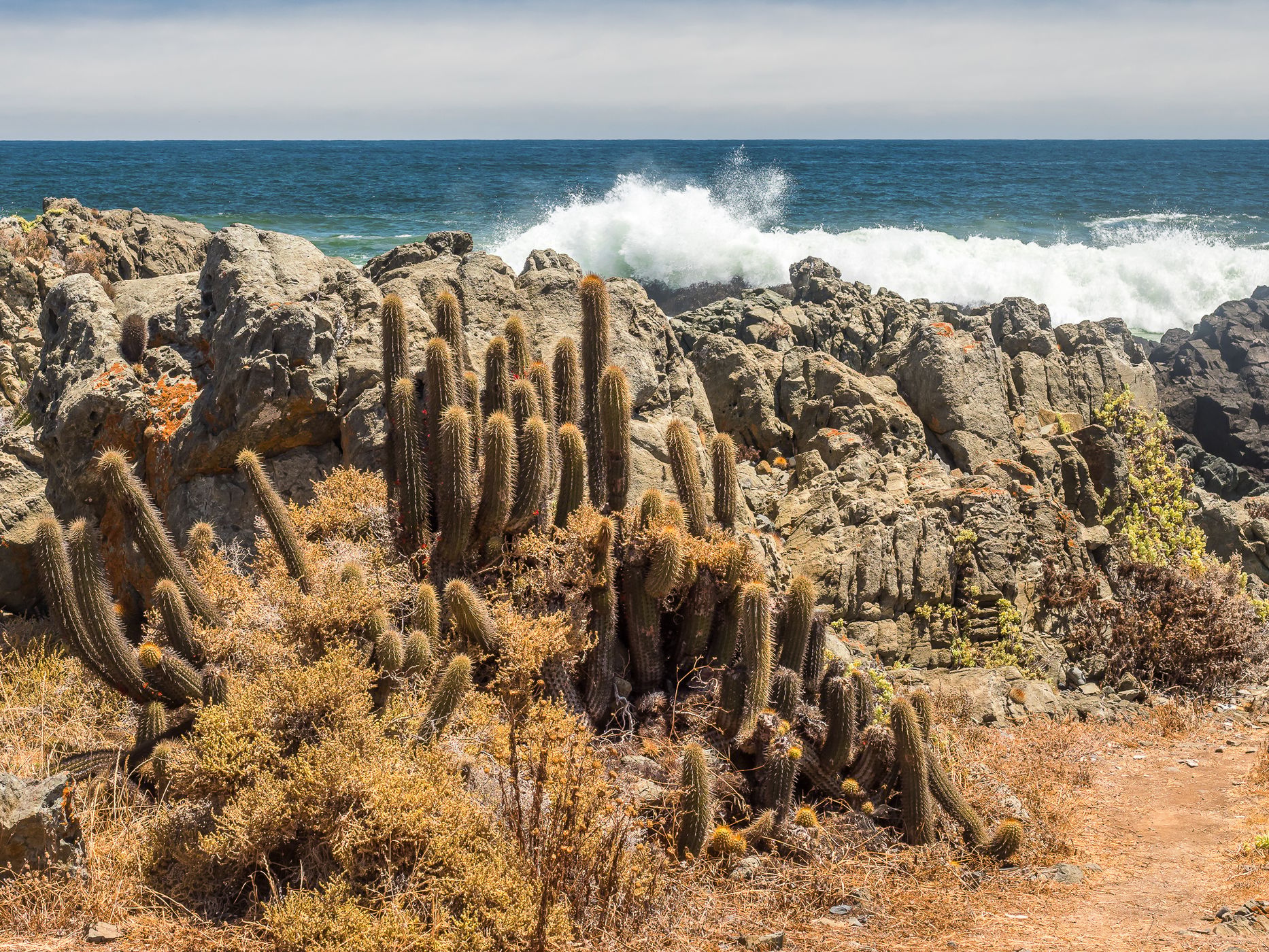 Los Quinquelles Beaches, Chile