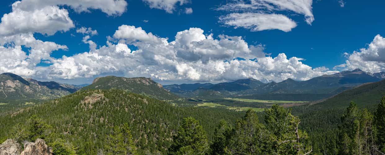 Many parks curve overlook