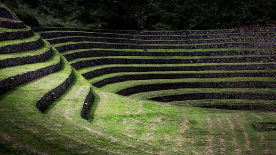 Moray