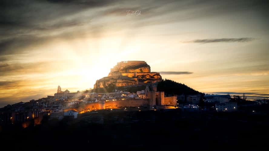 Morella