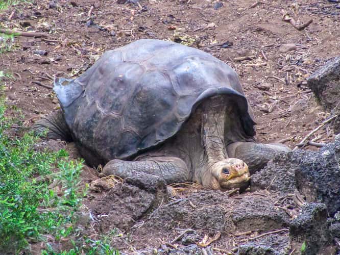 Parque Nacional Galapagos