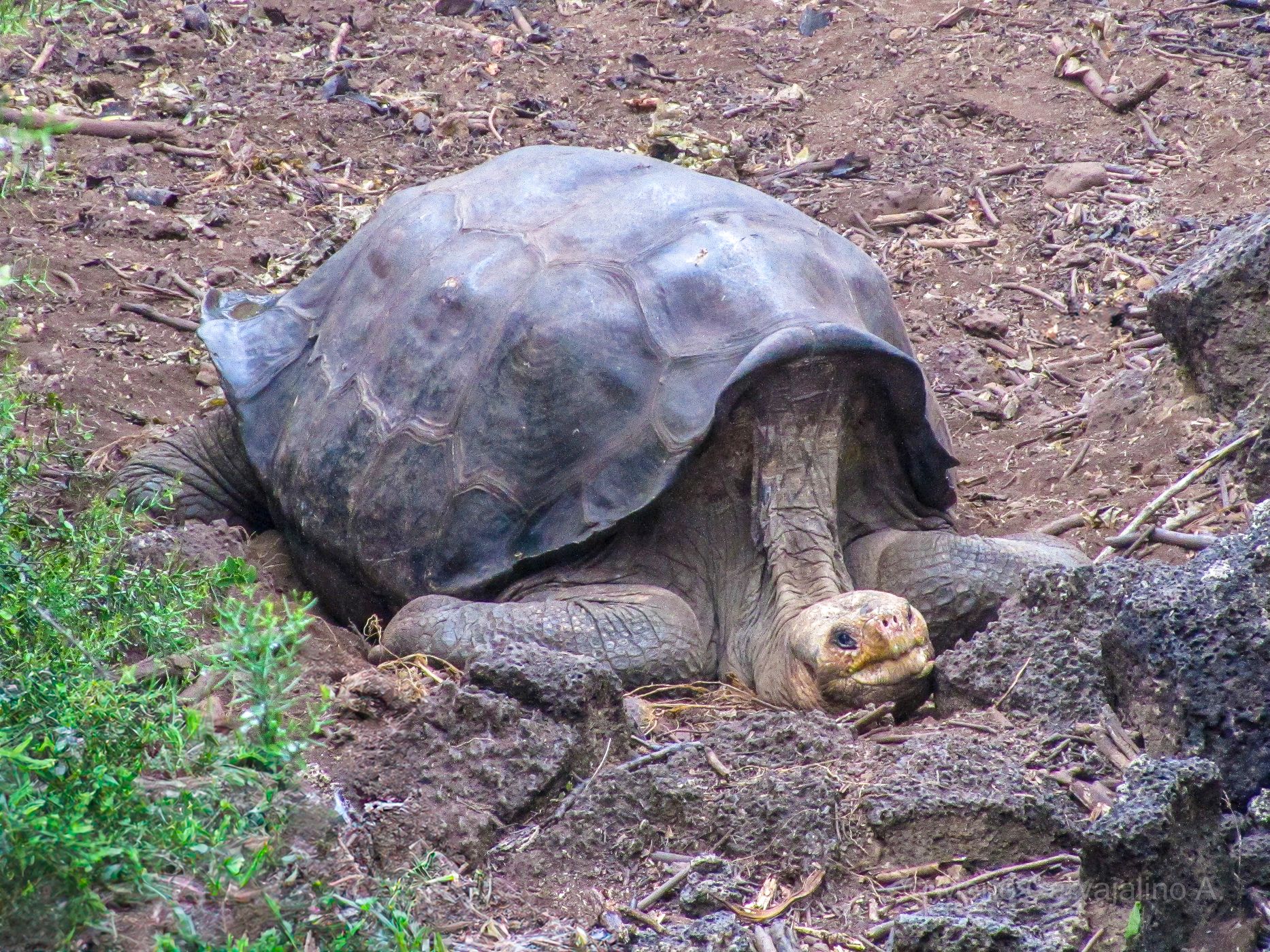 Parque Nacional Galapagos, Ecuador