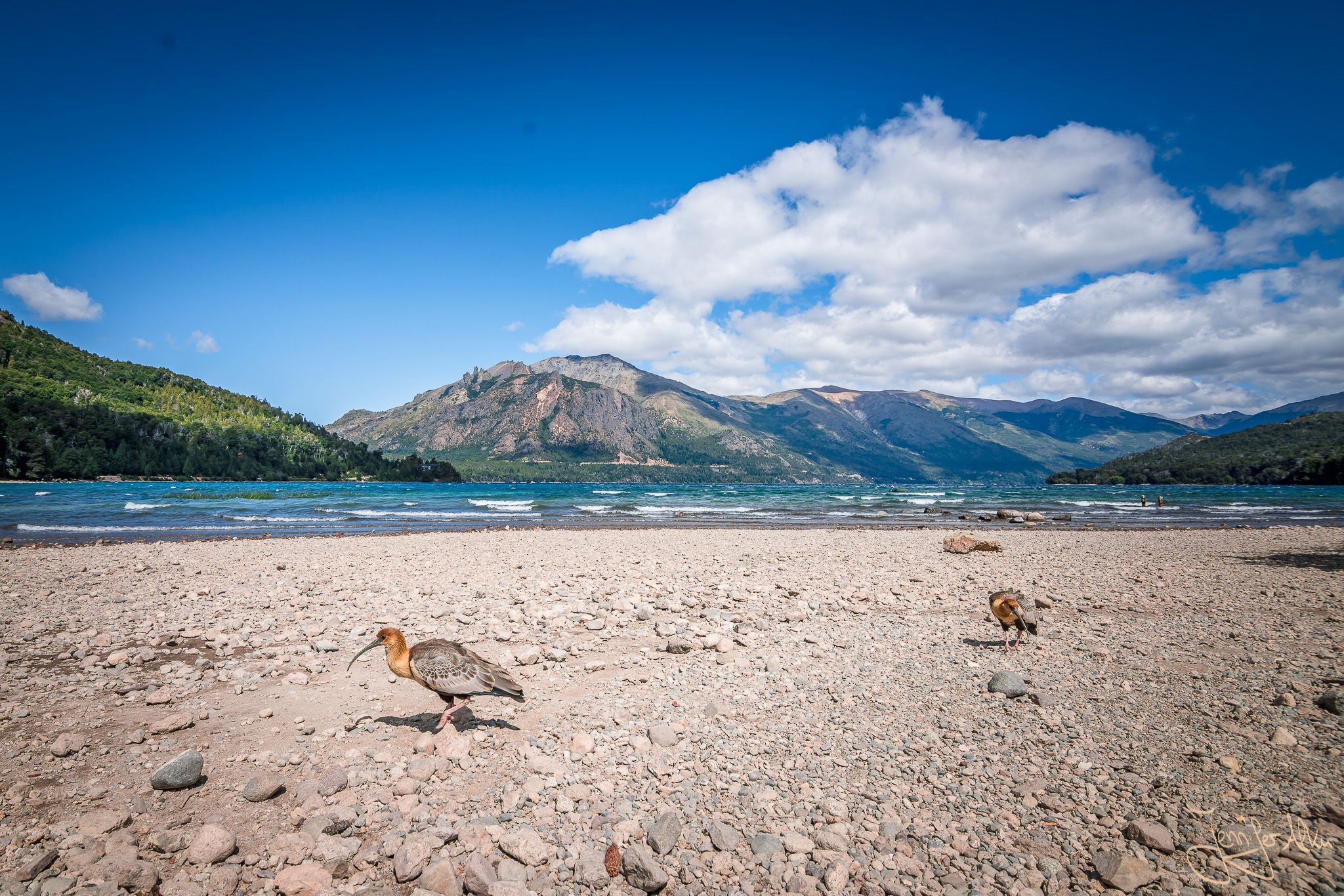 Playa Lago Gutierrez near Bariloche, Argentina
