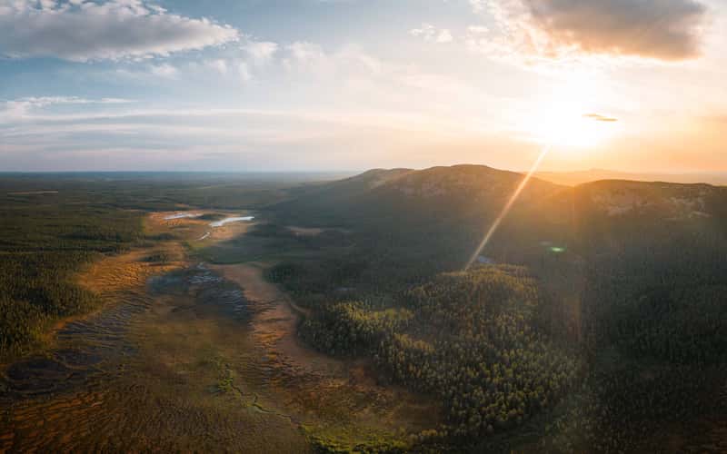 Pyhä-Luosto-Nationalpark, Lapland (Summer)