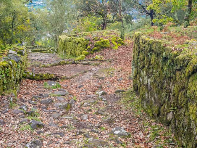 Ruined City of Citânia de Briteiros