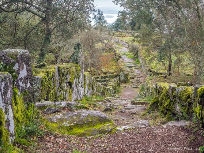 Ruined City of Citânia de Briteiros
