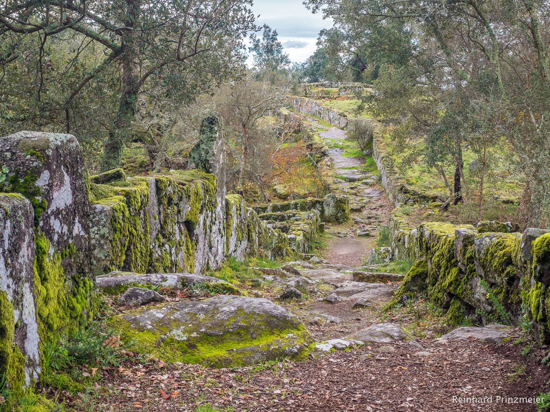 Ruined City of Citânia de Briteiros, Portugal