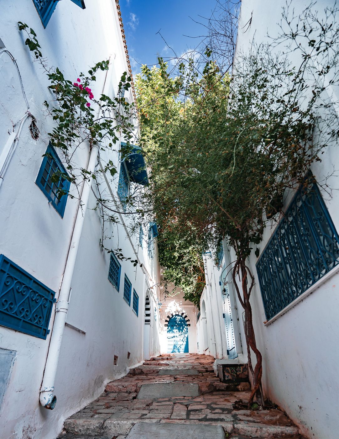 Sidi Bou Said, Tunisia, Tunisia