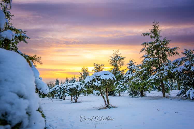 Snowy landscape with red sky