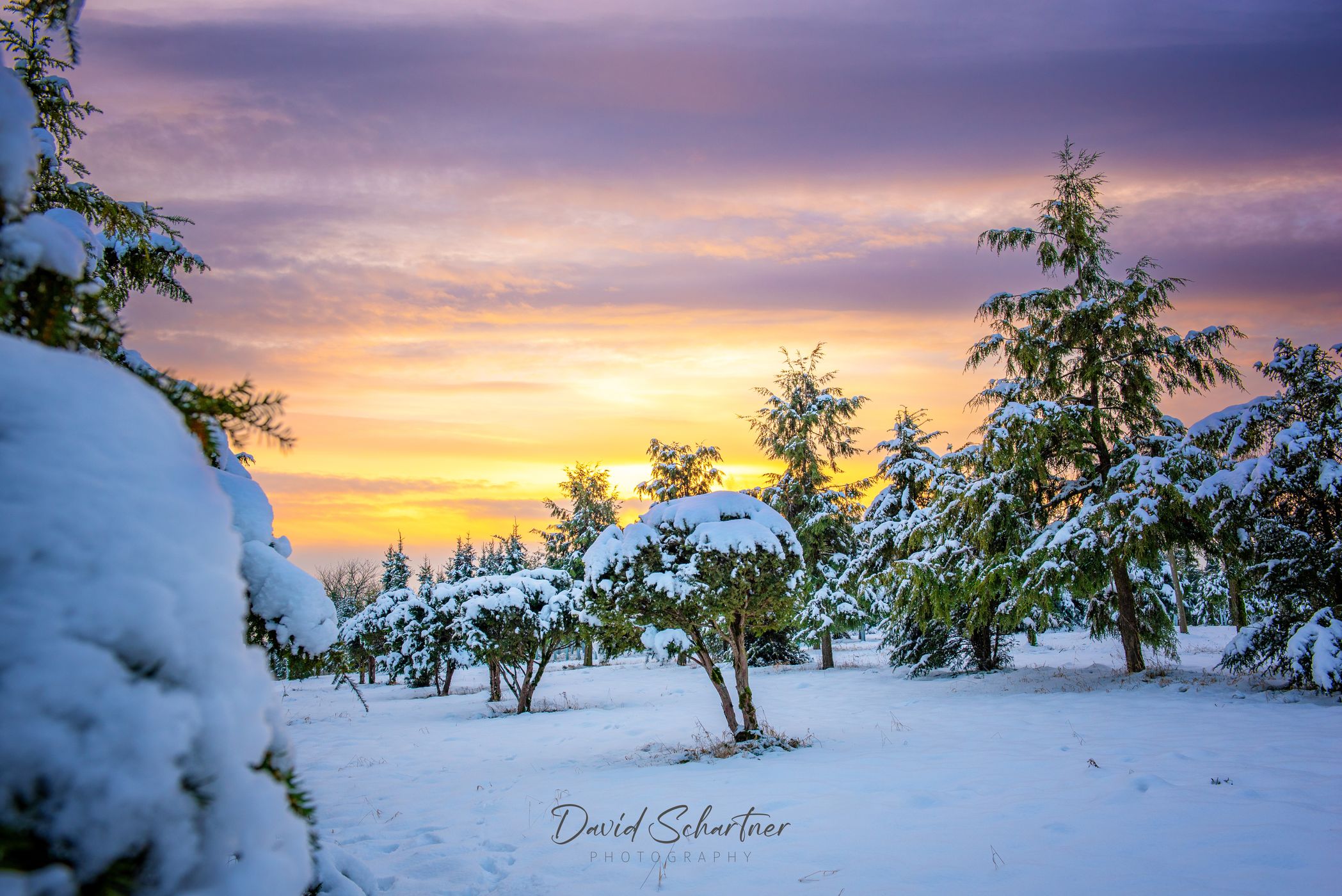 Snowy landscape with red sky, Germany