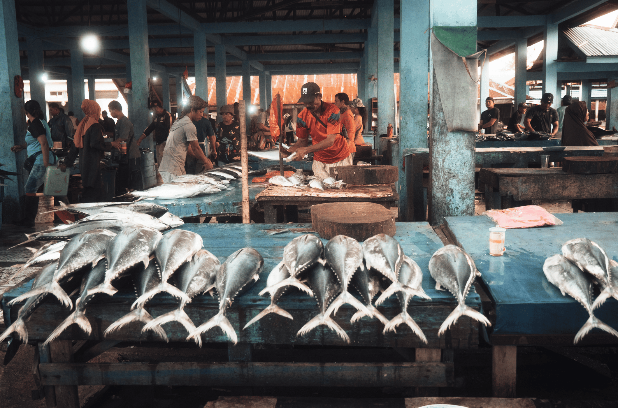 Sorong fish market, Indonesia