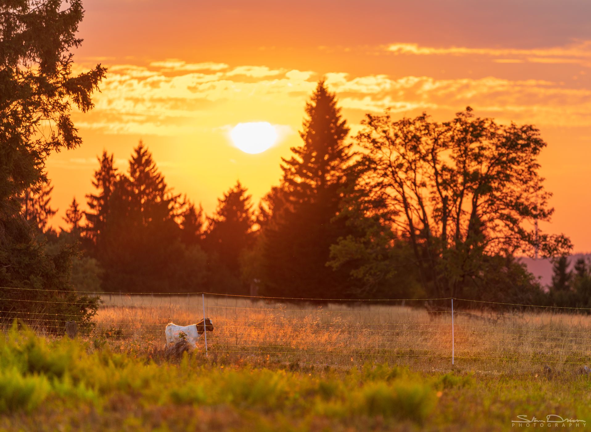 Sunset at Kahler Aster, Germany