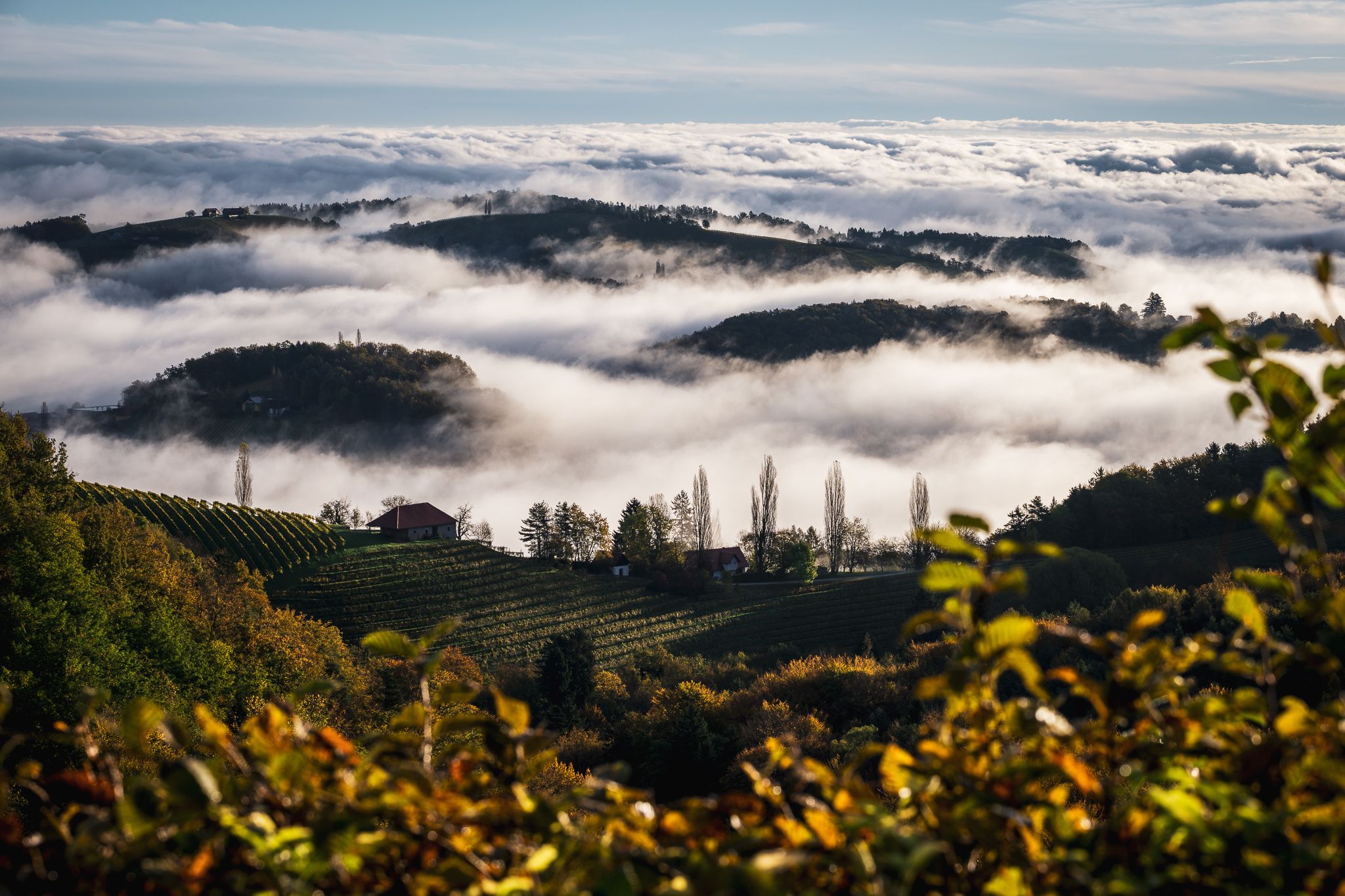 Talblick bei Nebel bei Kitzeck im Sausal, Austria