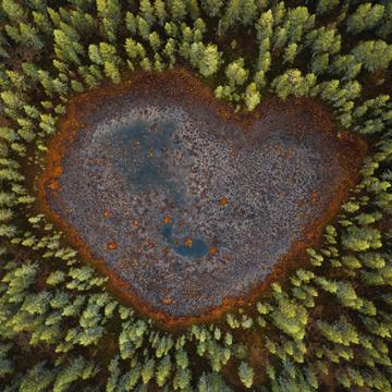 The Heart, Högträsk, Sweden