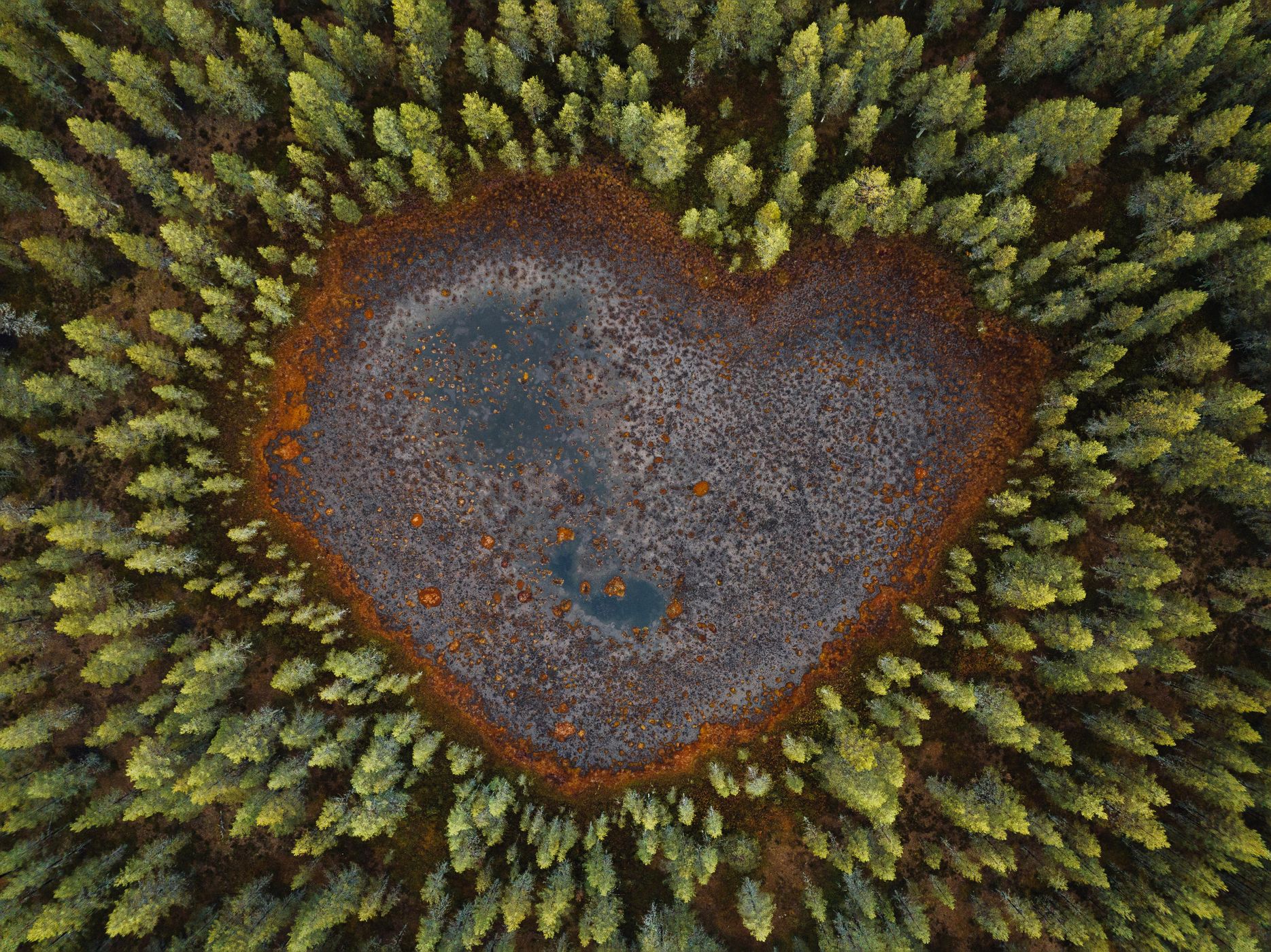 The Heart, Högträsk, Sweden