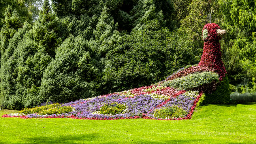 Insel Mainau, Lake Konstanz