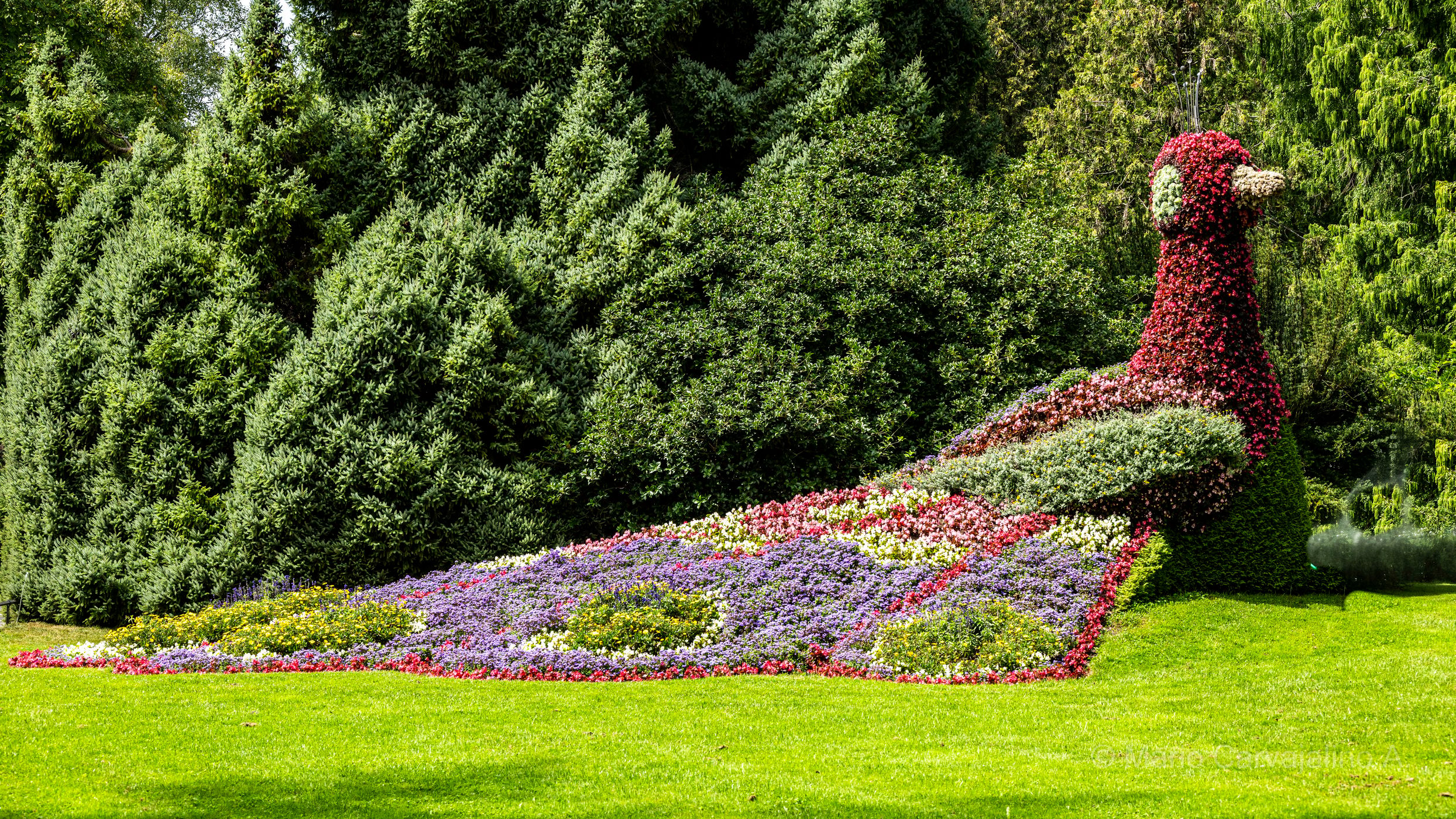 Insel Mainau, Lake Konstanz, Germany
