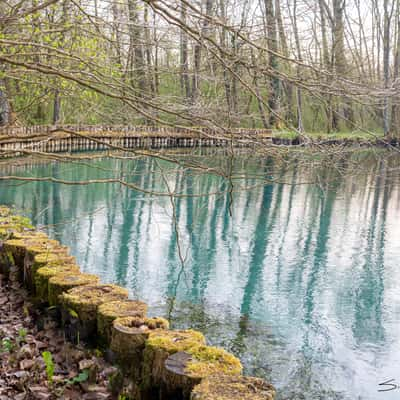 The Palù di Livenza pile-dwelling and naturalistic site, Italy