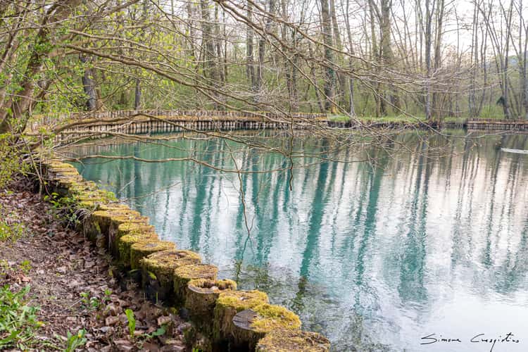 The Palù di Livenza pile-dwelling and naturalistic site