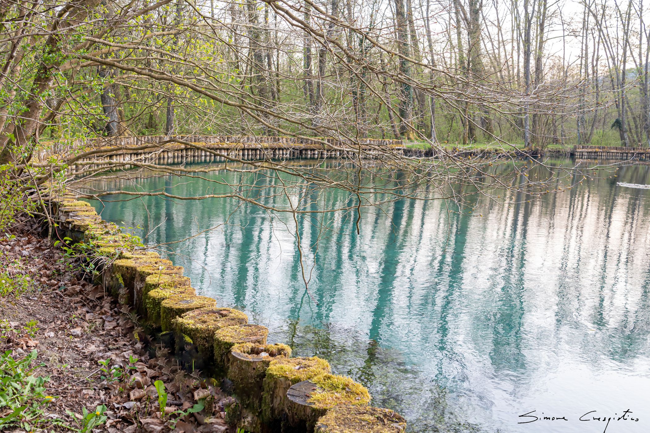 The Palù di Livenza pile-dwelling and naturalistic site, Italy