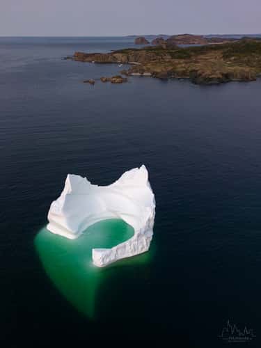 Twillingate Iceberg