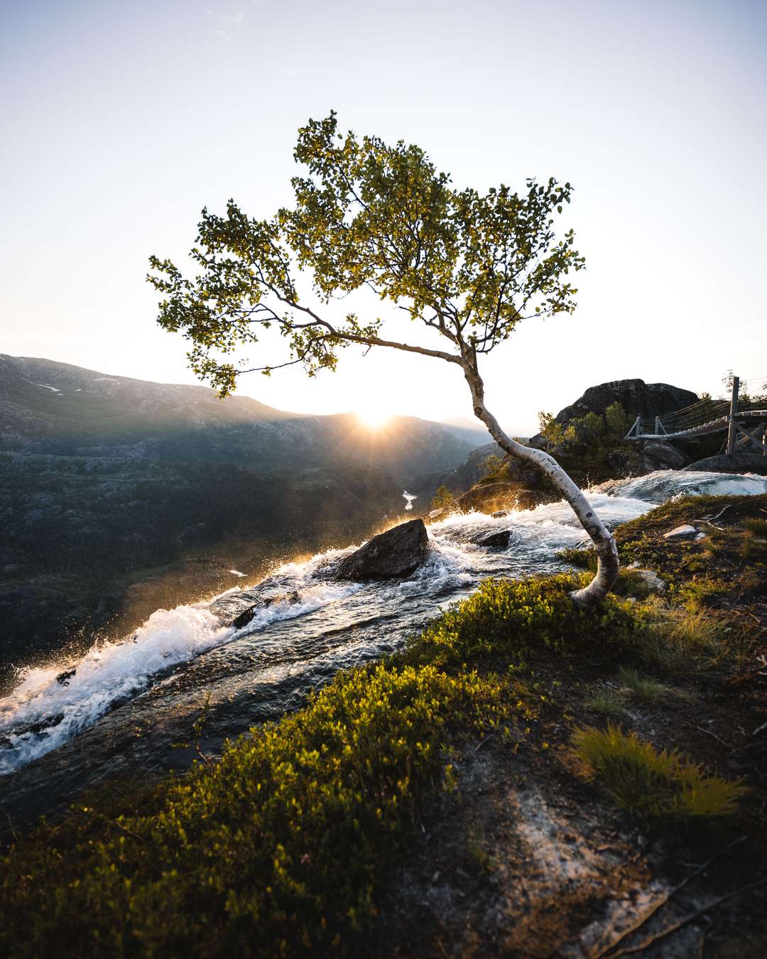 Top 3 Photo Spots at Rago Nationalpark in 2025