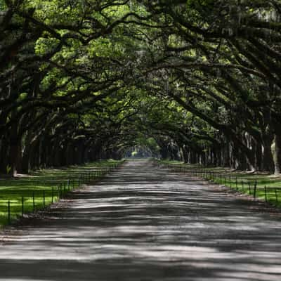 wormsloe, USA