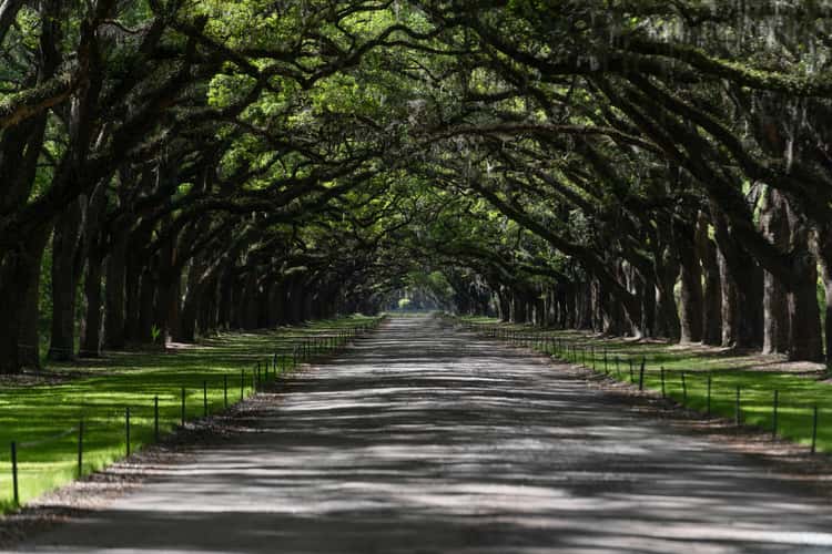 wormsloe