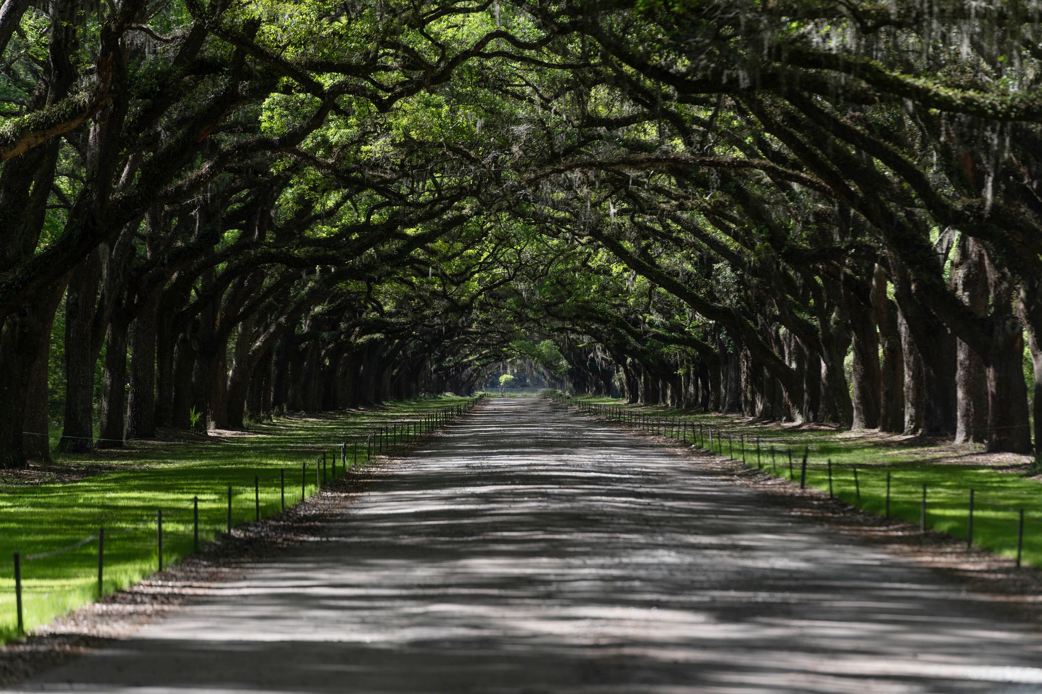 wormsloe, USA