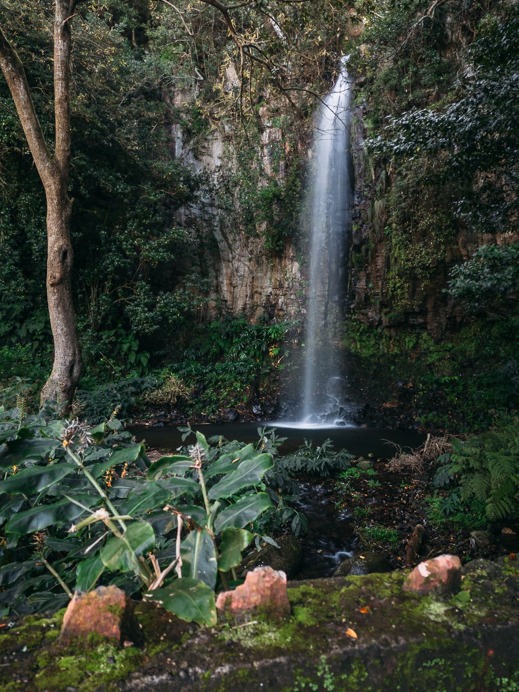 Aguage Waterfall, Portugal