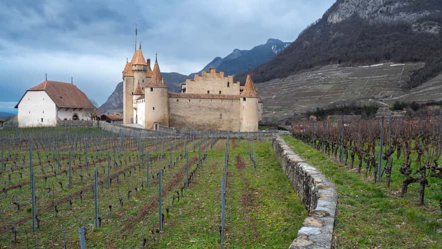 Around châteaux d'Aigle