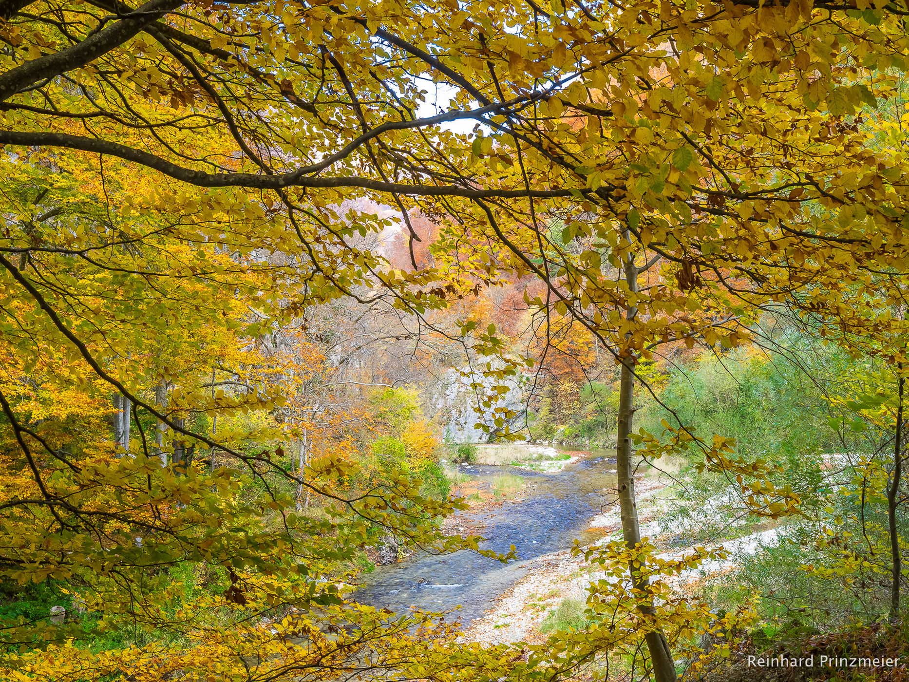 At the Cerna River, Romania