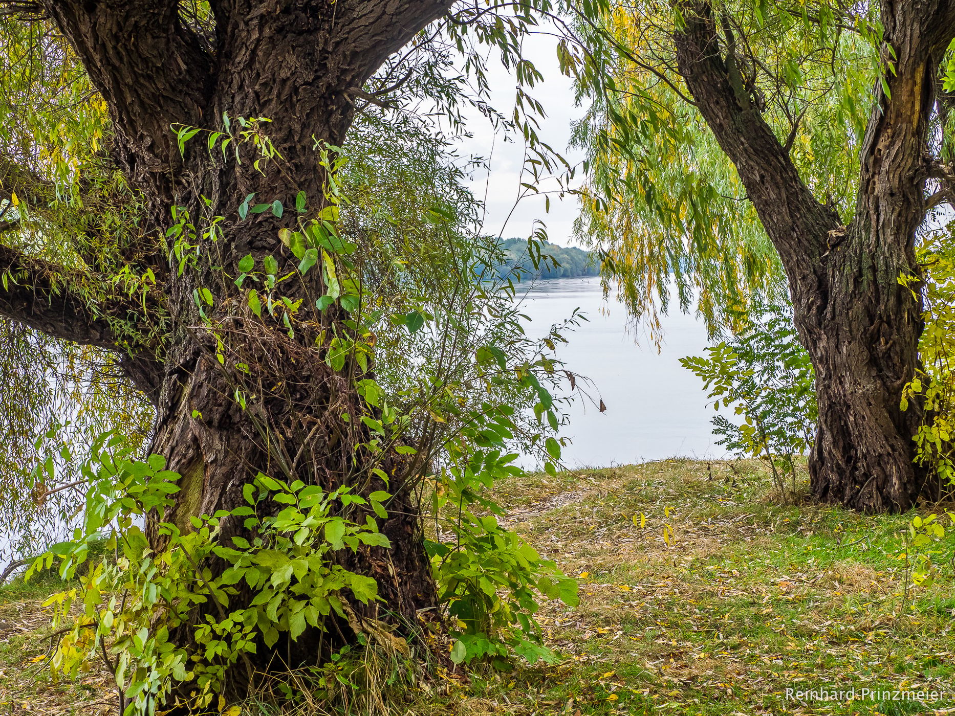 At the Danube Delta near Mahmudia, Romania