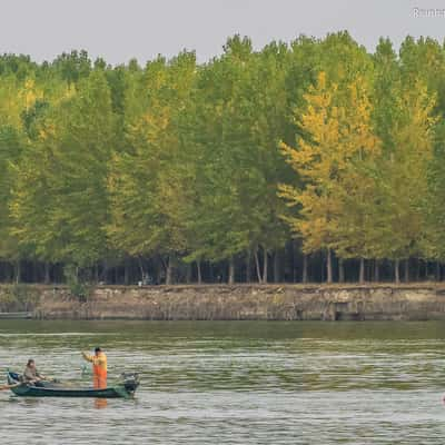 At the Danube Delta near Mahmudia, Romania